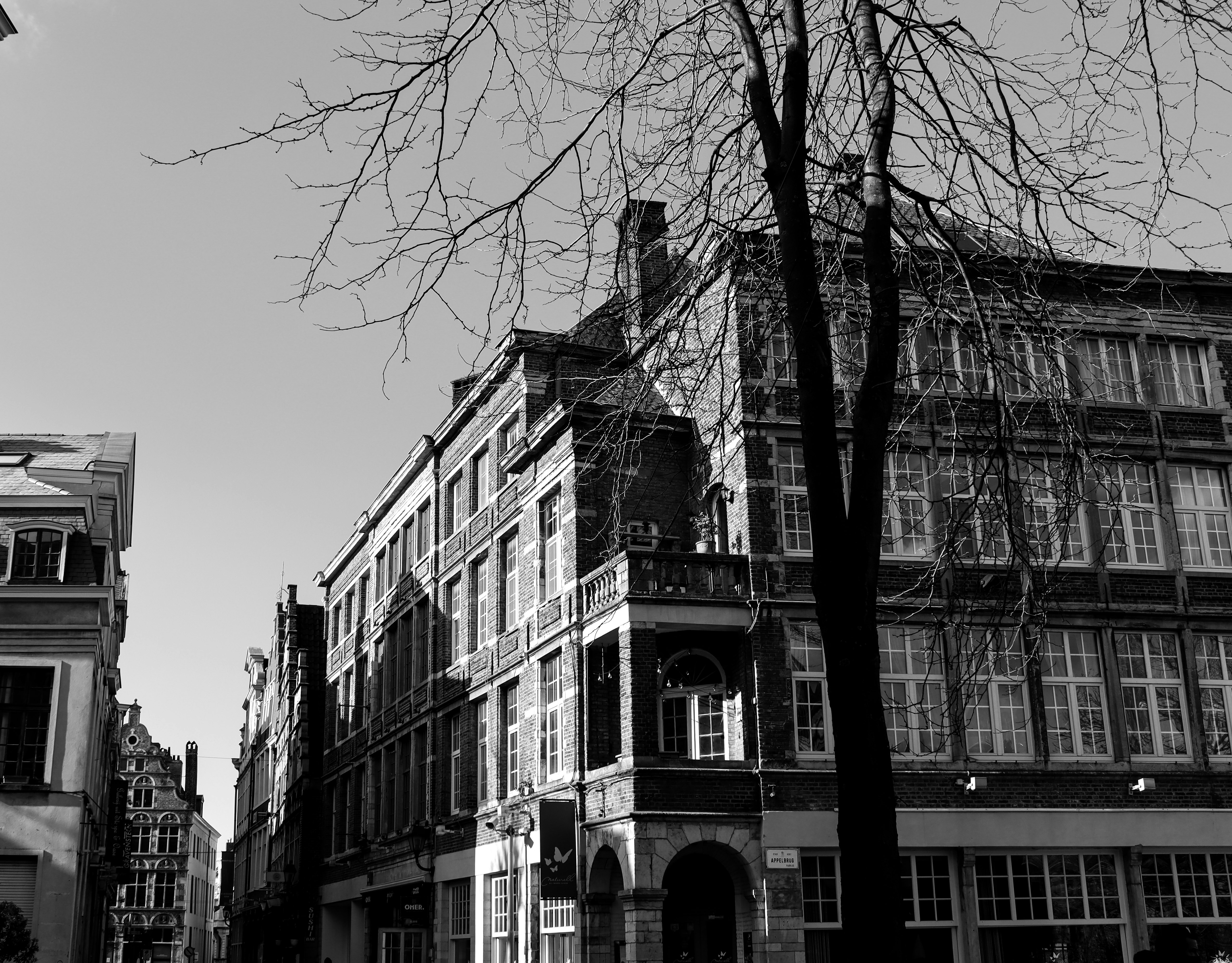 Gent, Belçika